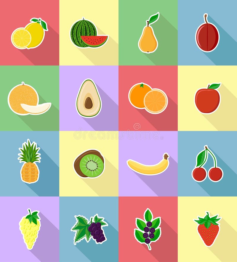 Fruits flat set icons with the shadow vector illustration