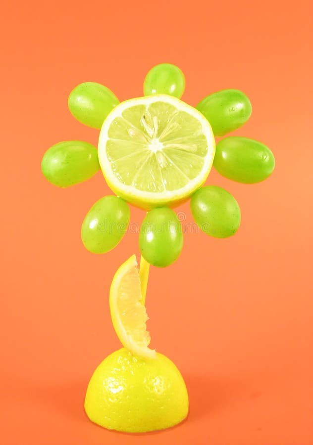 Red, Orange, Flower, Pink Picture. Image 132351603