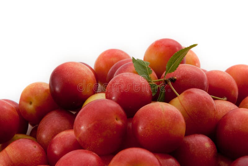 Fruits frais des plombs photos stock Fruits frais des plombs photos stock