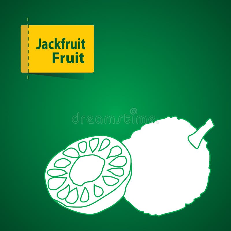 Fruits illustration. Isolated, image.