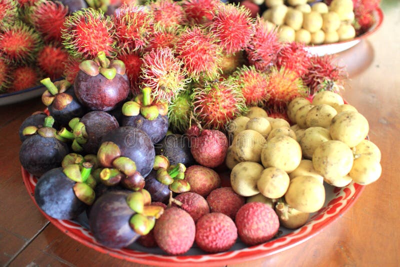 Lychee Rambutan And Mangosteen Stock Image Image of lechee, brown