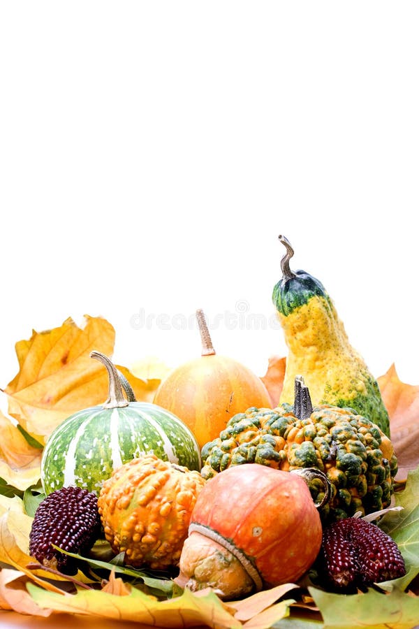 Fruits Leaves And Vegetables Picture. Image 3574069