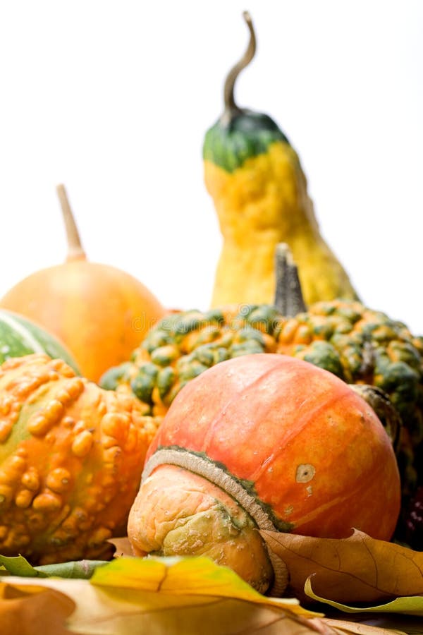 Fruits Leaves And Vegetables Picture. Image 3574097