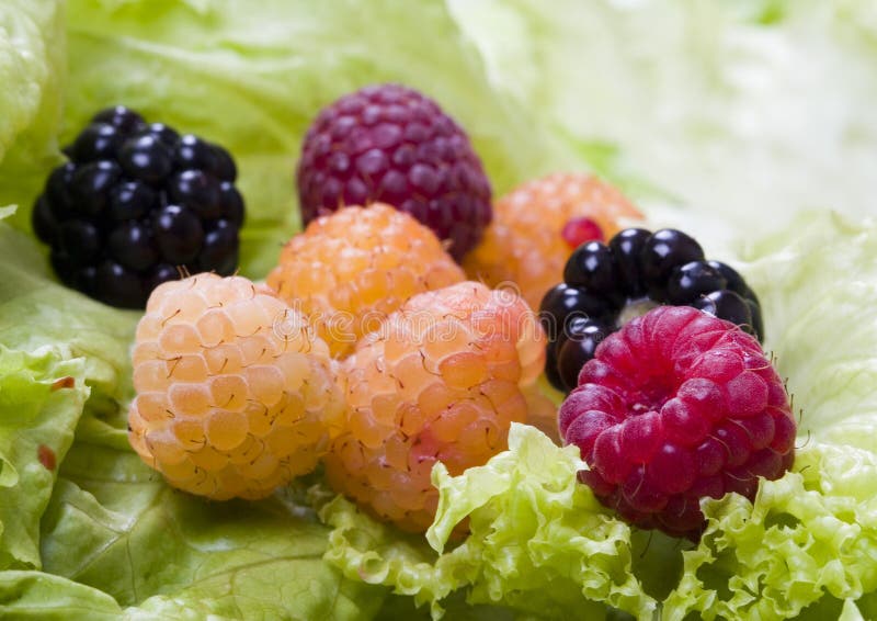 Apricot Jam of House Preparation Stock Photo Image of home, marmalade