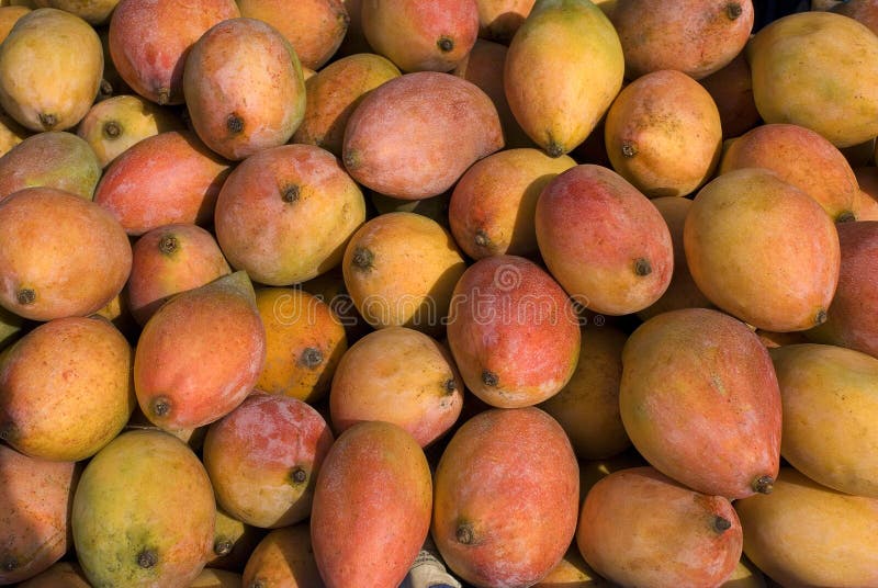 Fruits-Mango