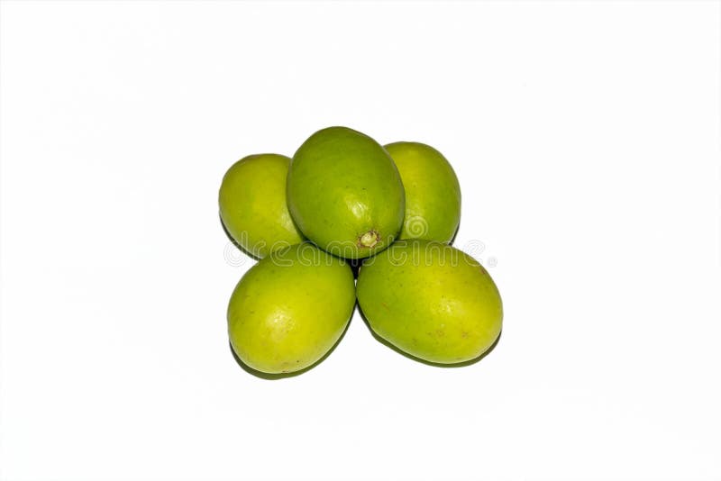 Fruits mombin de Spondias ou de dulcis verts frais de Spondias sur le fond blanc photos libres de droits Fruits mombin de Spondias ou de dulcis verts frais de Spondias sur le fond blanc photos libres de droits