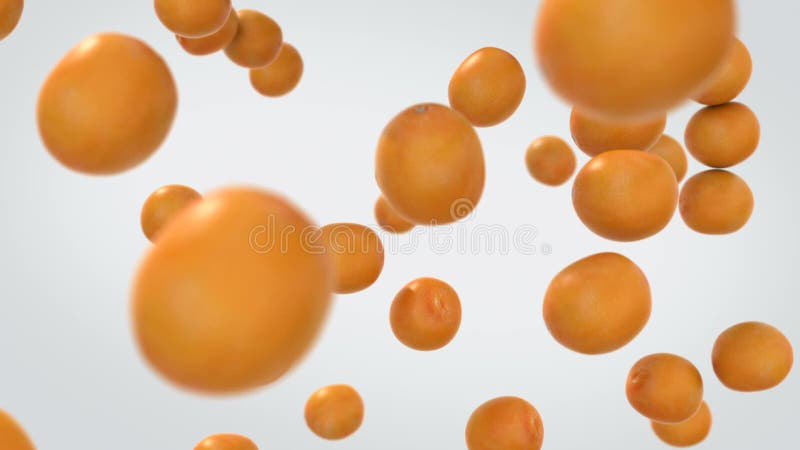Fruits oranges tombant dans le mouvement lent illustration libre de droits