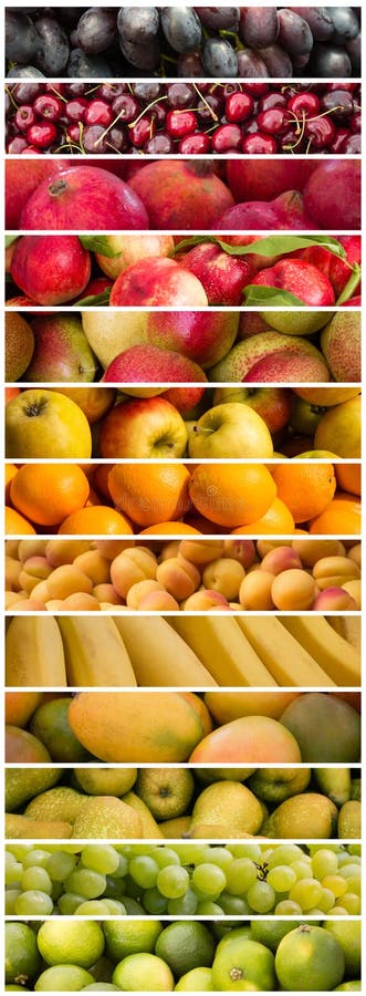 Fruits - préparation colorée de fruit - collage de nourriture