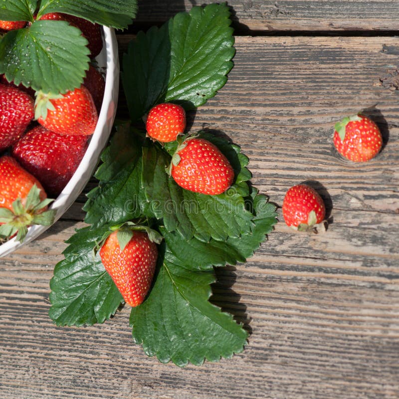 Tasty summer fruits on a wooden table. Strawberry. Tasty summer fruits on a wooden table. Strawberry