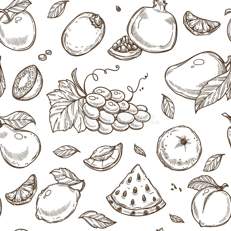 Fruits Sketch Vector Icons Farm Fresh Exotic Tropical Fruit Set Stock