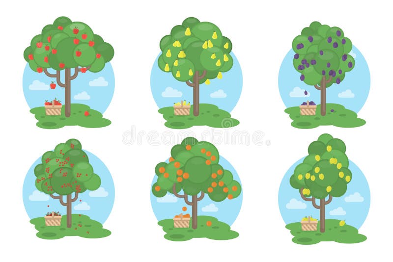 Fruits trees set. stock vector. Illustration of chestnut 86009639