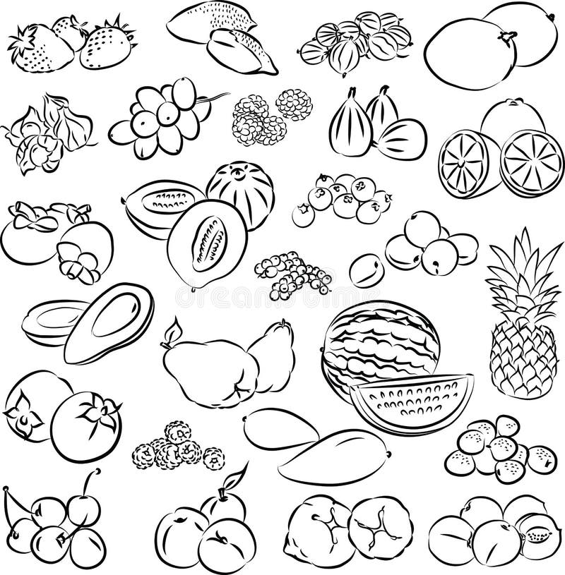 Fruits stock vector. Illustration of sliced, peach, juicy 35123175