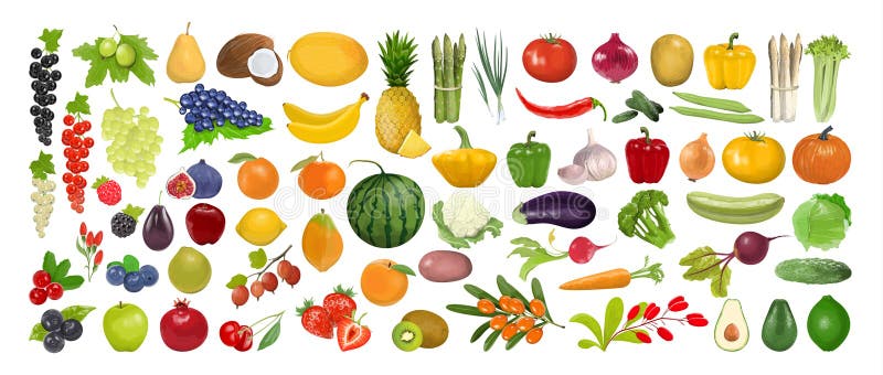 Fruits Vegetables Stock Illustrations – 42,322 Fruits Vegetables Stock  Illustrations, Vectors & Clipart - Dreamstime