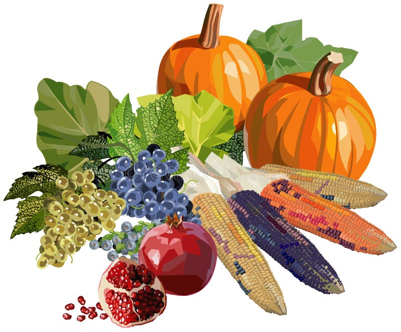 Fruits and Vegetables for Thanksgiving Stock Vector Illustration of