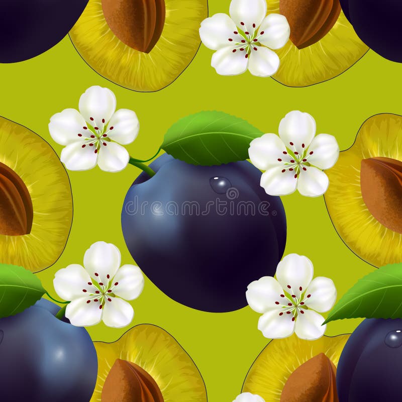 Fruity seamless pattern with plums. Seamless background with dark blue plums, leaves, halves and flowers. Vector illustration vector illustration Fruity seamless pattern with plums. Seamless background with dark blue plums, leaves, halves and flowers. Vector illustration vector illustration