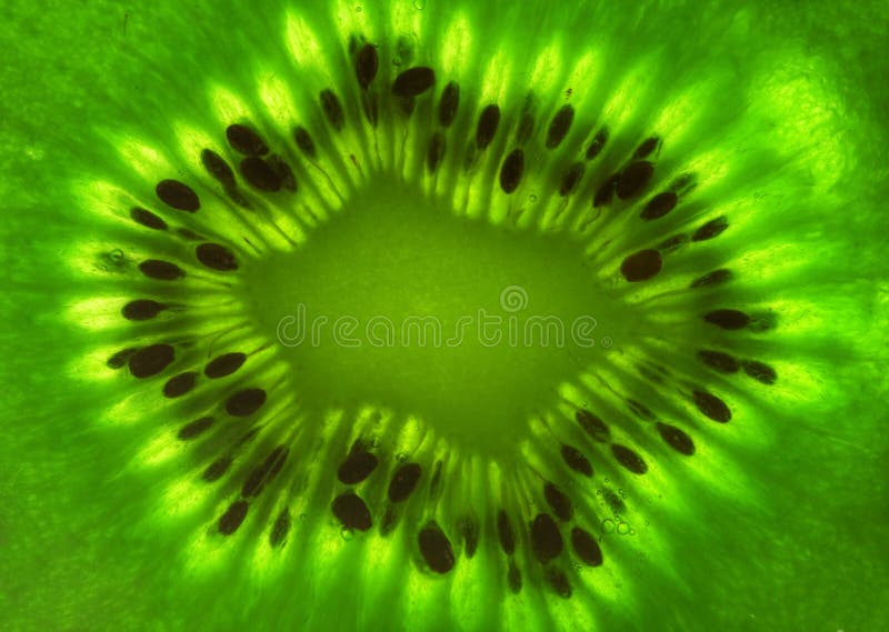 fruktkiwi arkivfoto