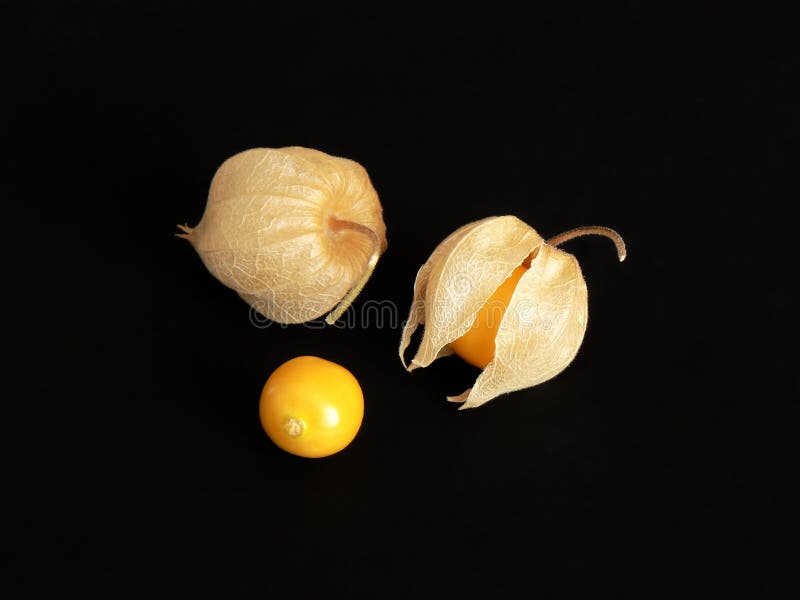 Fruktphysalis arkivbild