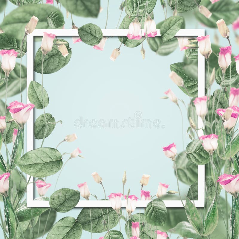 Frumos cadru botanic cu flori roz și frunze pe fond albastru pastelar. royalty free illustration
