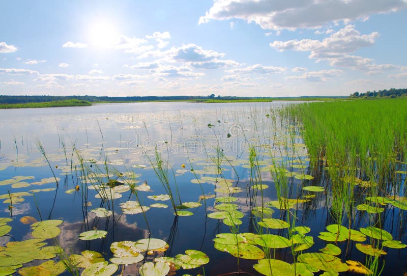 Lac frumos royalty free stock photo