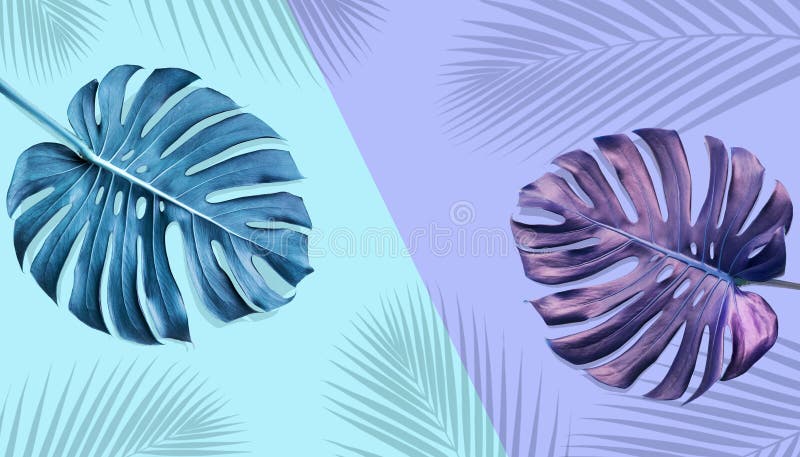 Frunze tropicale de monstera cu palmier de culoare pastilă stock illustration