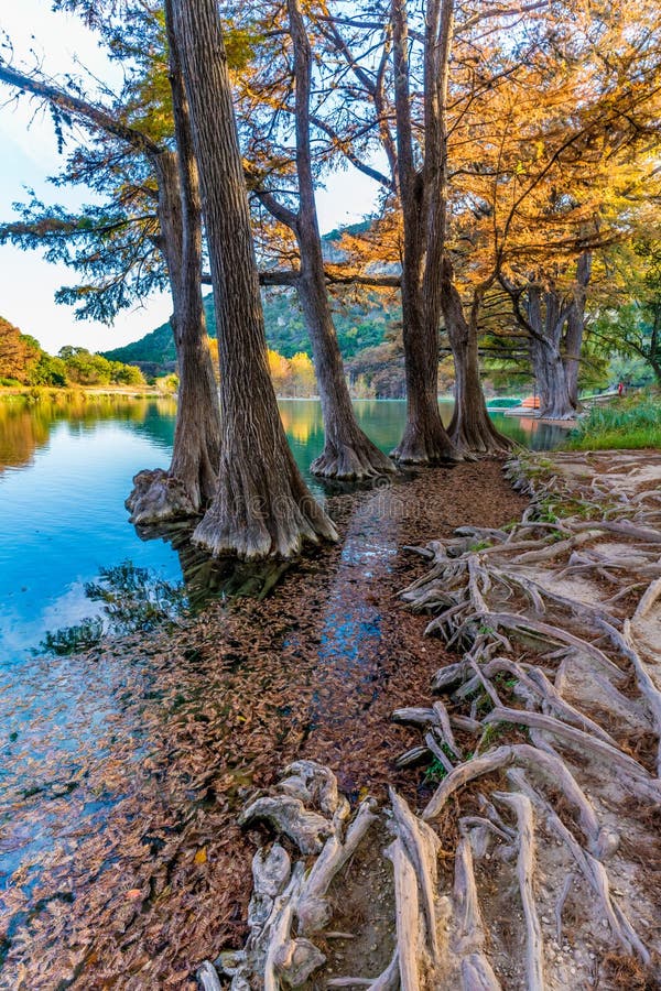 Frunzișul de cădere pe râul Frio Crystal Clear din Texas. royalty free stock image