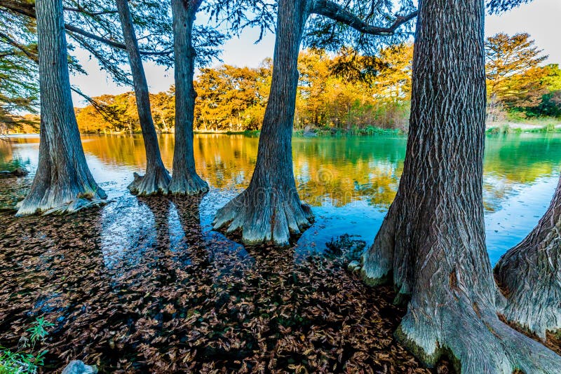 Frunzișul de cădere pe râul Frio Crystal Clear din Texas. royalty free stock photography