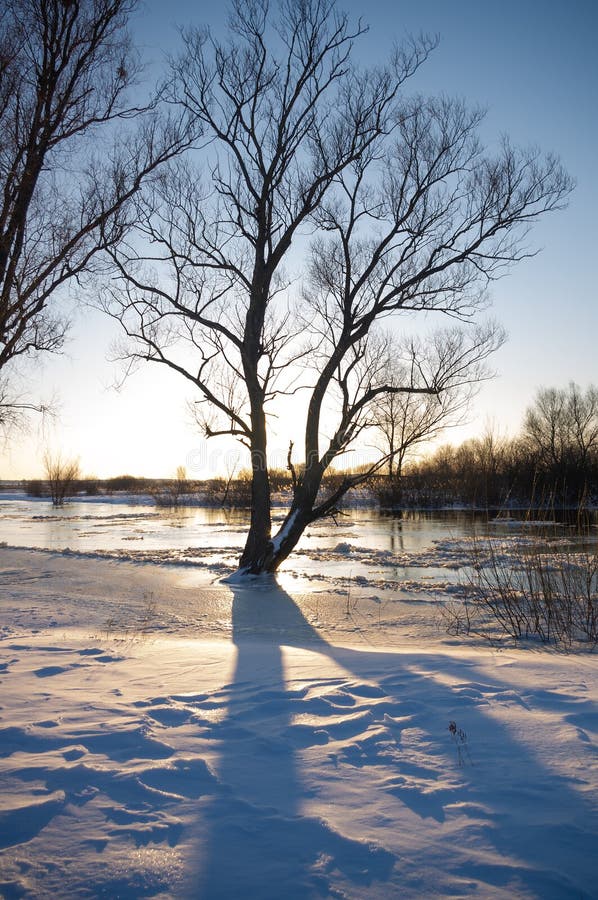 Frusen flod arkivbilder