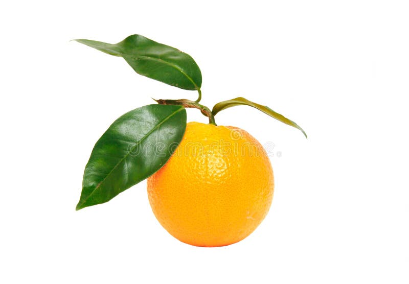 Fruta anaranjada aislada en blanco imágenes de archivo libres de regalías Fruta anaranjada aislada en blanco imágenes de archivo libres de regalías