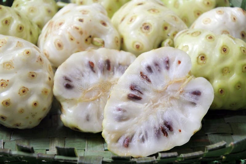 Fruta cortada de Noni de la fruta del queso en el cocinero Islands de Rarotonga imágenes de archivo libres de regalías Fruta cortada de Noni de la fruta del queso en el cocinero Islands de Rarotonga imágenes de archivo libres de regalías