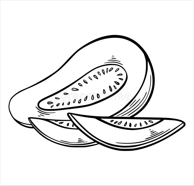 Fruta De Guayaba Fruta Tropical Exótica Al Estilo Dibujado a Mano Ilustración del Vector - Ilustración de mano, aislado: 226558477 Fruta De Guayaba Fruta Tropical Exótica Al Estilo Dibujado a Mano Ilustración del Vector - Ilustración de mano, aislado: 226558477