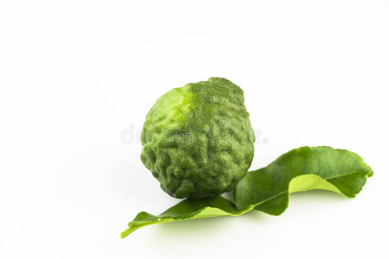 Fruta de la cal o de la bergamota del cafre imagen de archivo libre de regalías Fruta de la cal o de la bergamota del cafre imagen de archivo libre de regalías