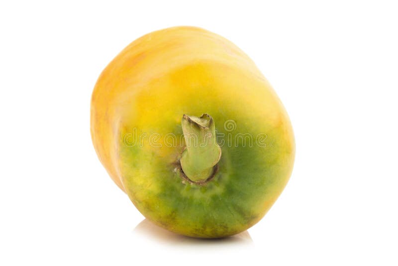 Fruta de la papaya parte posterior del primer Naranja del color Asiático Aislado fotos de archivo libres de regalías Fruta de la papaya parte posterior del primer Naranja del color Asiático Aislado fotos de archivo libres de regalías