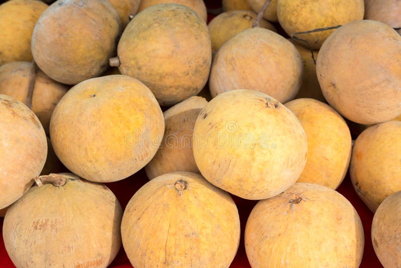 Fruta santol foto de archivo libre de regalías
