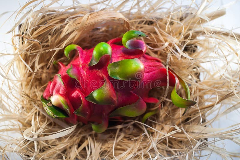 Fruta del dragón en la paja imagen de archivo libre de regalías Fruta del dragón en la paja imagen de archivo libre de regalías