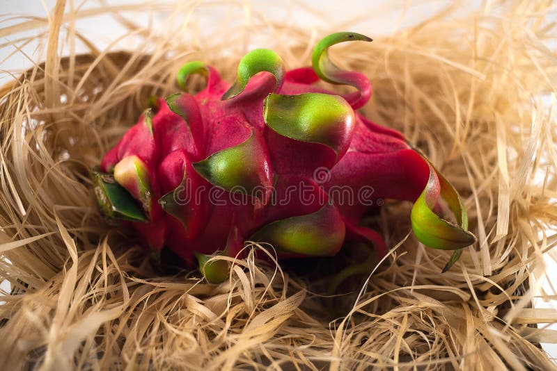 Fruta del dragón en una paja imágenes de archivo libres de regalías Fruta del dragón en una paja imágenes de archivo libres de regalías