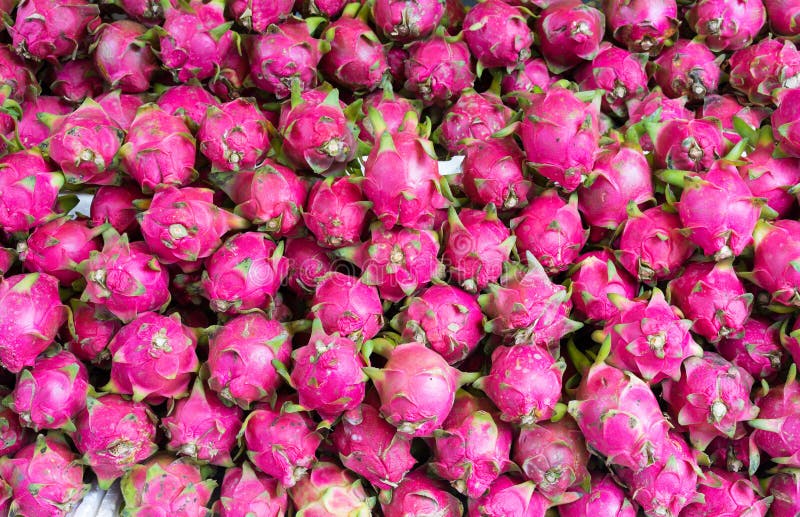 Fruta del dragón, fruta tropical exhibida en la mercado de la fruta de Vinh Long, delta del Mekong La mayoría de frutas del ` s d fotografía de archivo libre de regalías Fruta del dragón, fruta tropical exhibida en la mercado de la fruta de Vinh Long, delta del Mekong La mayoría de frutas del ` s d fotografía de archivo libre de regalías