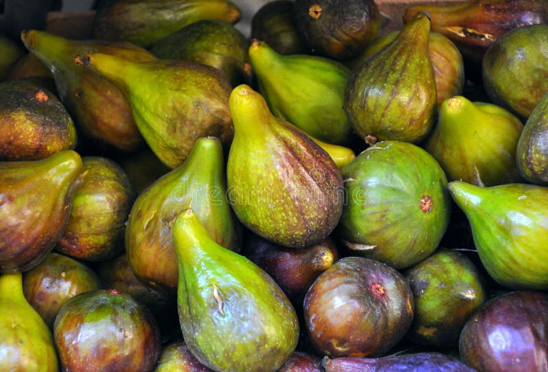 Fruta del higo imágenes de archivo libres de regalías Fruta del higo imágenes de archivo libres de regalías