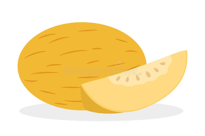 Fruta del mel?n E ilustración del vector Fruta del mel?n E ilustración del vector