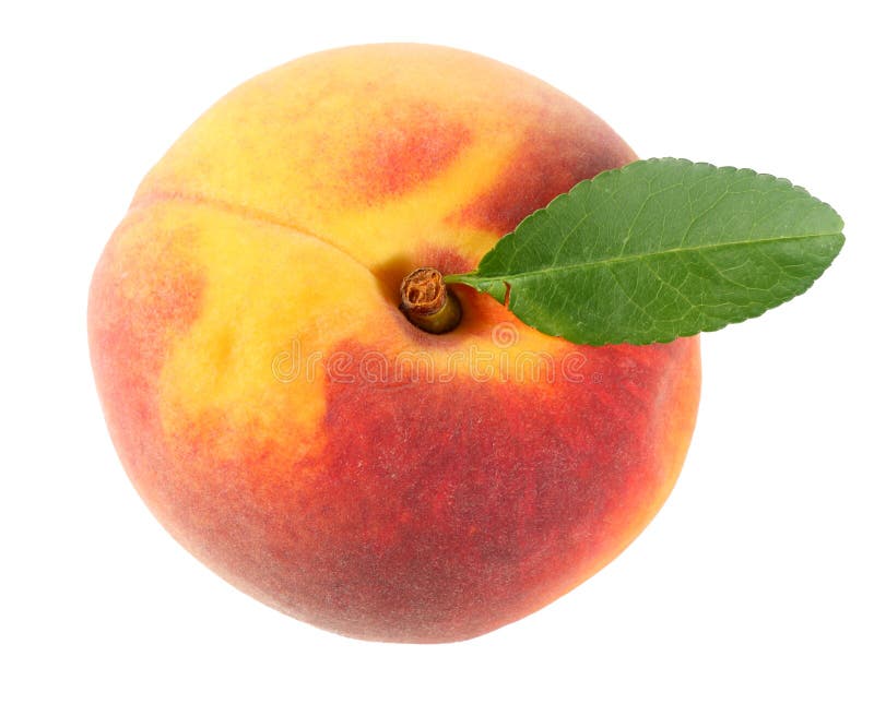 fruta del melocotón con la hoja verde y rebanadas aisladas en el fondo blanco Visión superior imagen de archivo libre de regalías fruta del melocotón con la hoja verde y rebanadas aisladas en el fondo blanco Visión superior imagen de archivo libre de regalías