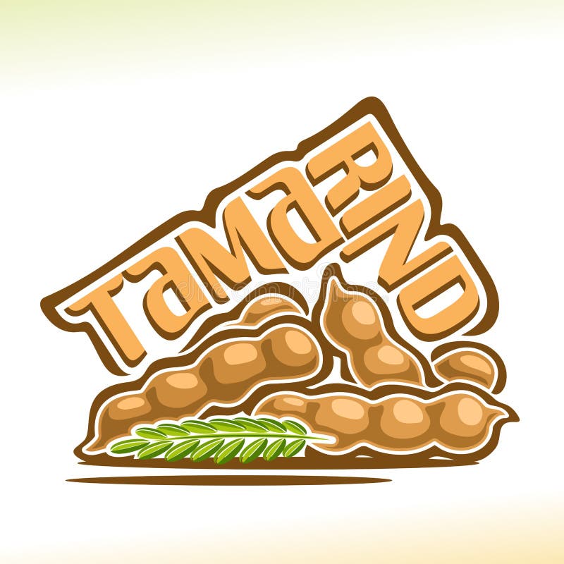 Fruta del tamarindo del logotipo del vector stock de ilustración Fruta del tamarindo del logotipo del vector stock de ilustración