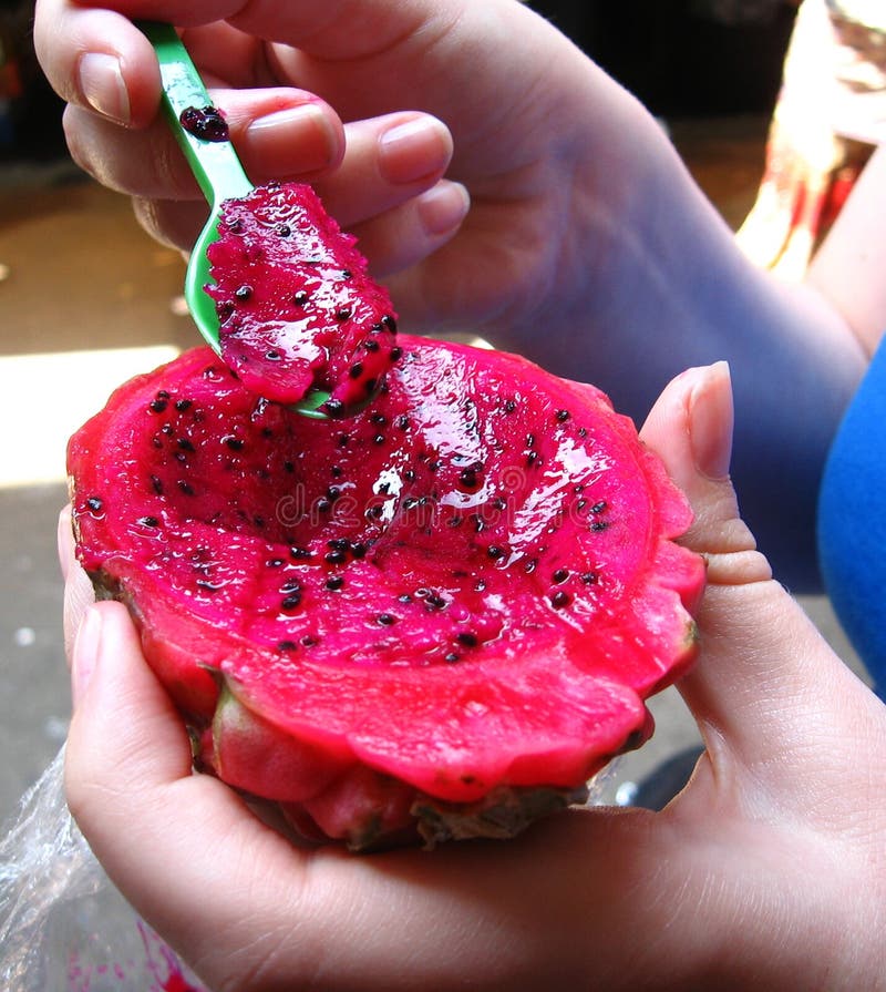Fruta do cacto foto de stock. Imagem de coma, semente 5604406