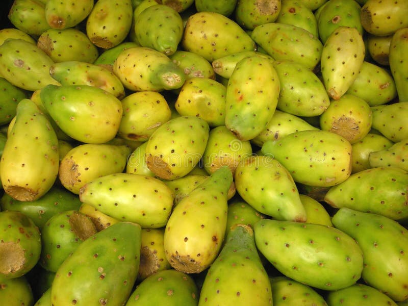 Fruta Do Cacto Para a Venda [atum] Imagem de Stock Imagem de orgânico, cacto 12031875