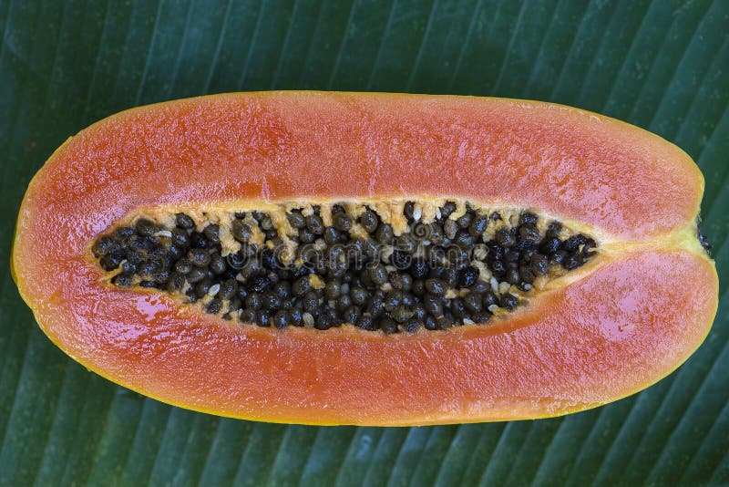 Fruto Tropical Fresco Em Espetos Na Placa Branca - Café Da Manhã Saudável,  Conceito Da Perda De Peso Tailândia Foto de Stock - Imagem de uvas,  abacaxi: 115645152