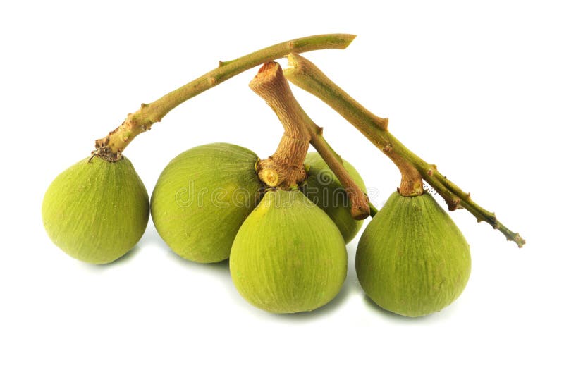 Fruta tropical tailandesa (santol) fotos de archivo