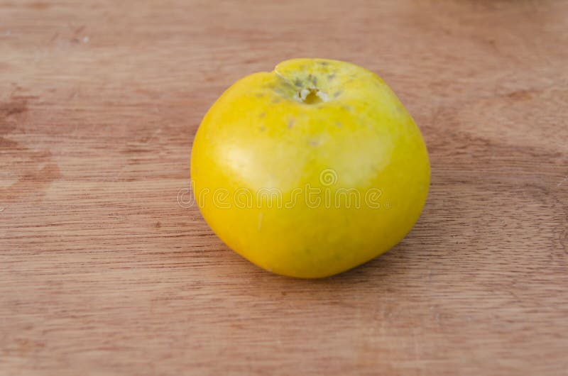 Frutas Del Sapote Blanco Y Sus Hojas Foto de archivo Imagen de raro