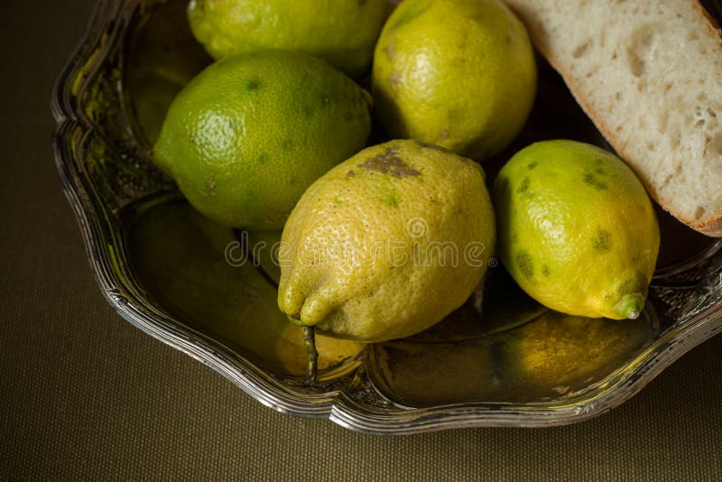 Frutas del limón y criado imagen de archivo Frutas del limón y criado imagen de archivo
