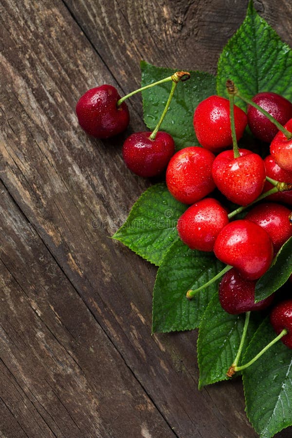 Frutas del verano de las cerezas con las hojas escogidas recientemente foto de archivo libre de regalías Frutas del verano de las cerezas con las hojas escogidas recientemente foto de archivo libre de regalías