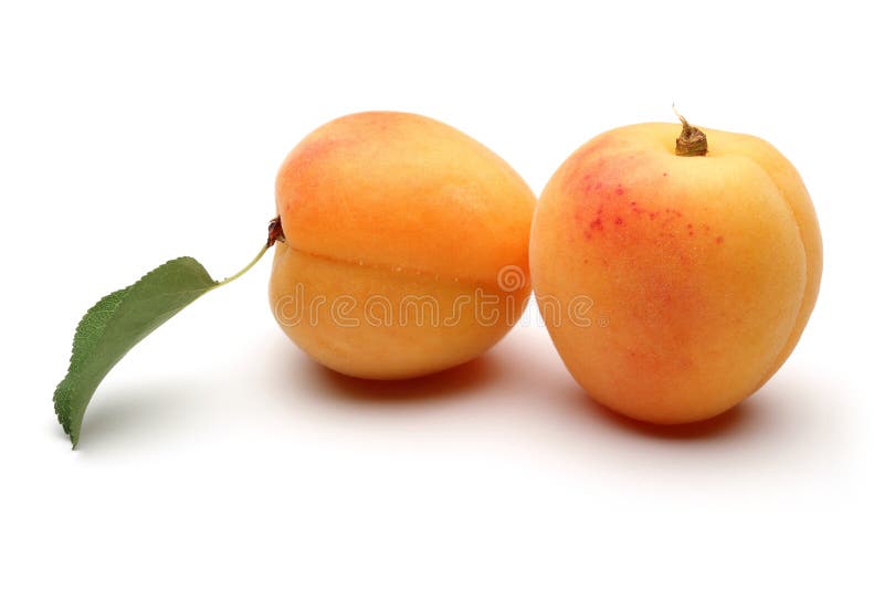 Frutas do alperce