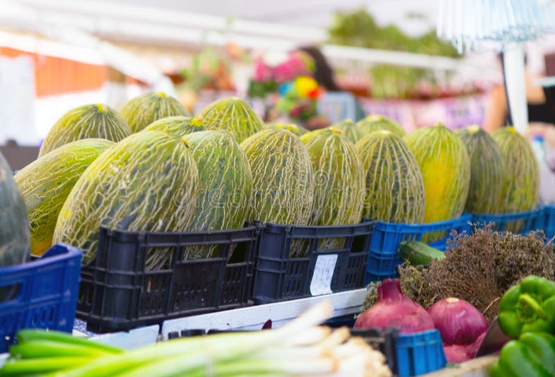 Frutas e verdura fotografia de stock royalty free