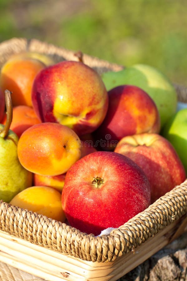 Frutas en cesta imagen de archivo libre de regalías Frutas en cesta imagen de archivo libre de regalías